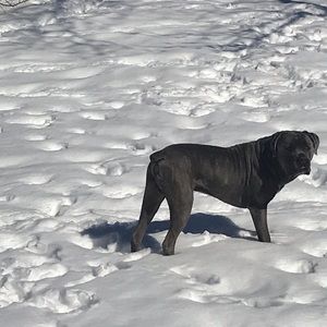 Meet your Posher, Clay